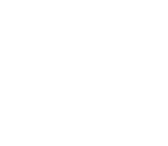 Logo Gepard